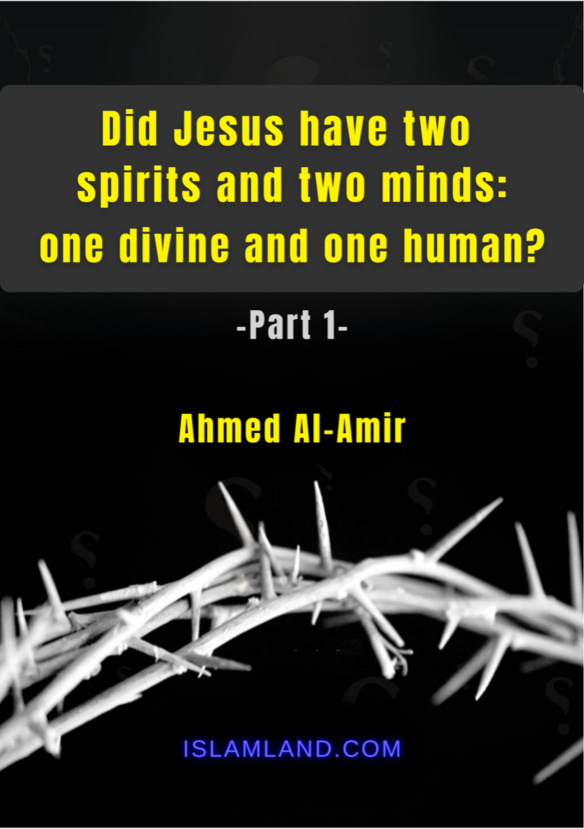 Did Jesus have two spirits and two minds: one divine and one human?